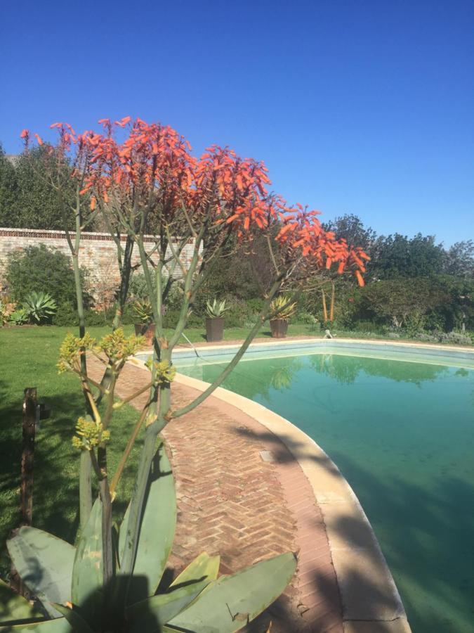 Watermill Studios Gordons Bay Bagian luar foto