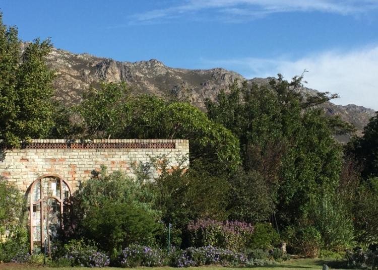Watermill Studios Gordons Bay Bagian luar foto