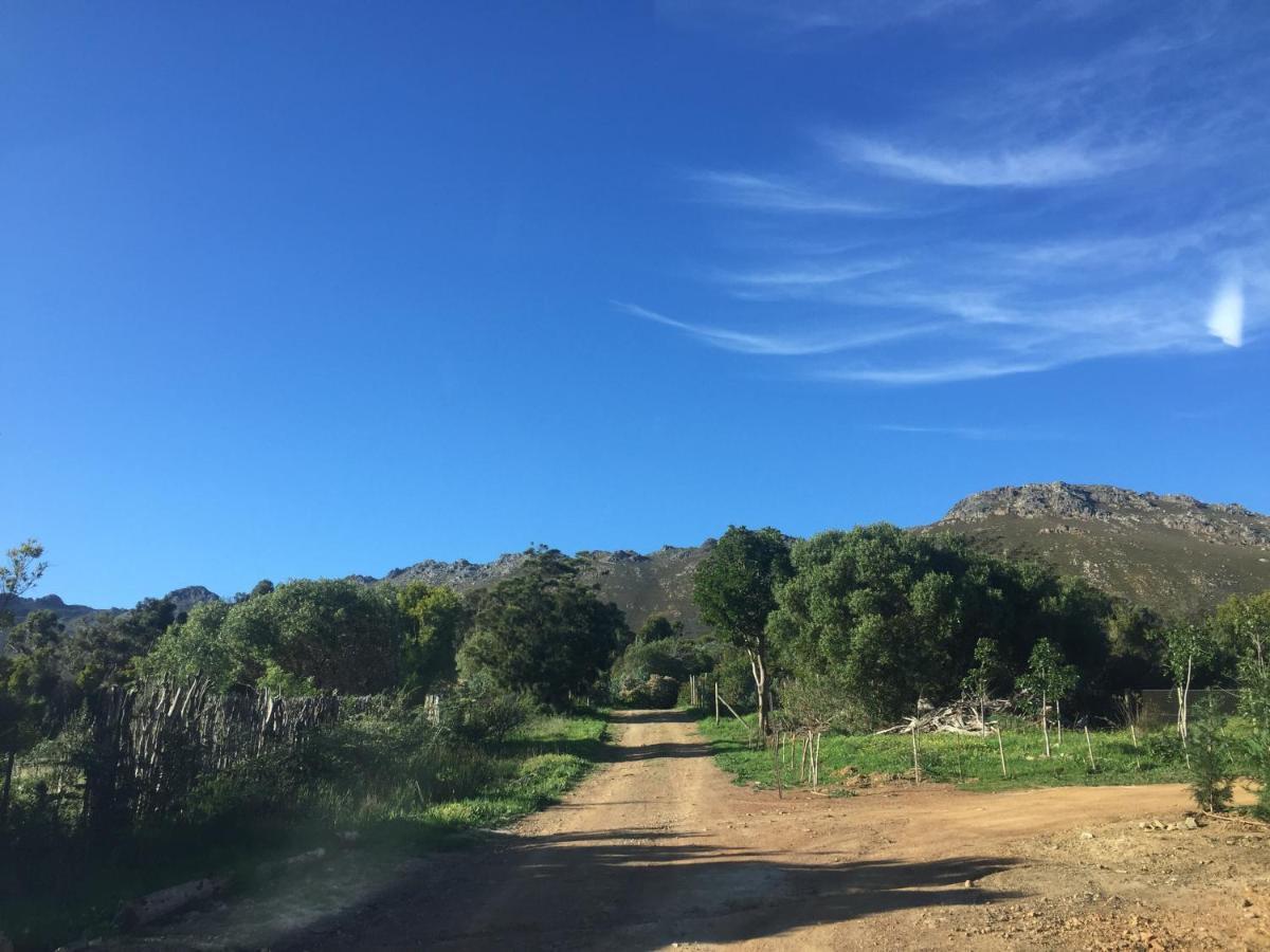 Watermill Studios Gordons Bay Bagian luar foto