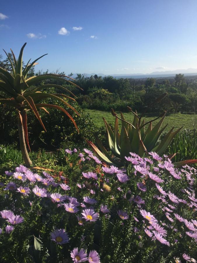 Watermill Studios Gordons Bay Bagian luar foto