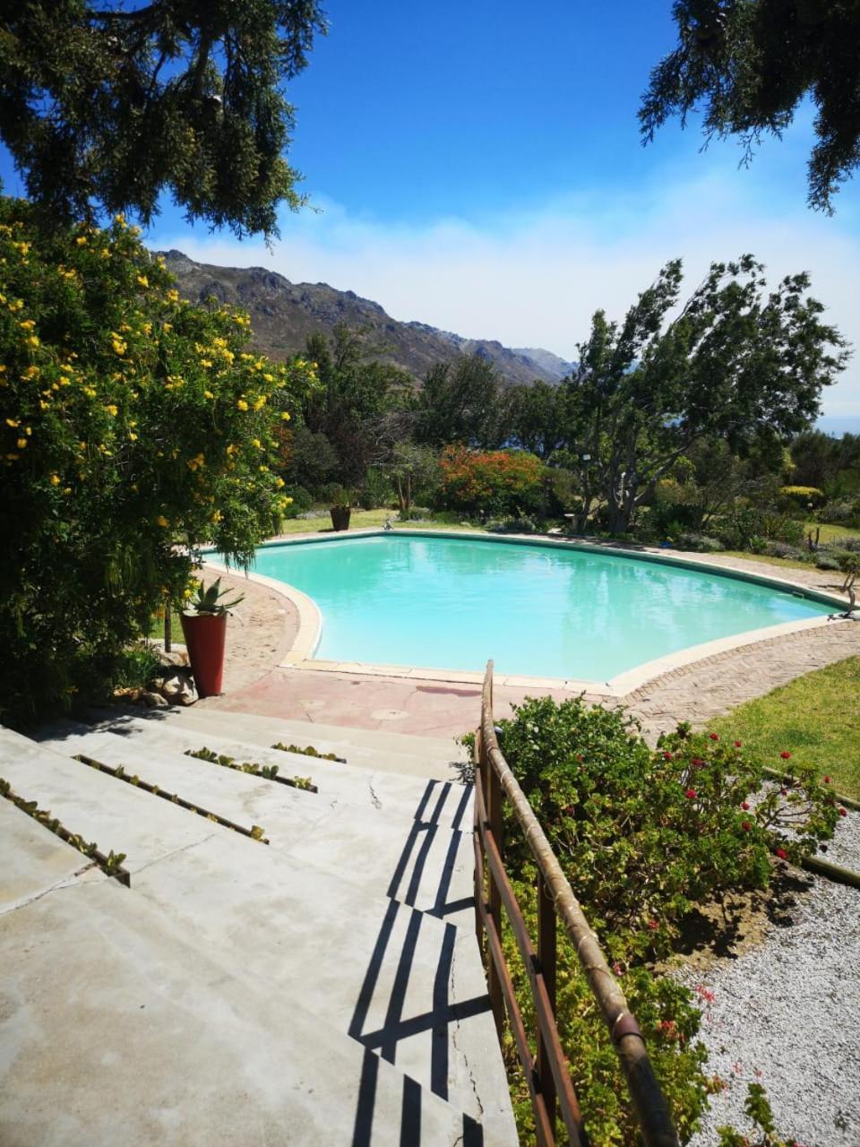 Watermill Studios Gordons Bay Bagian luar foto